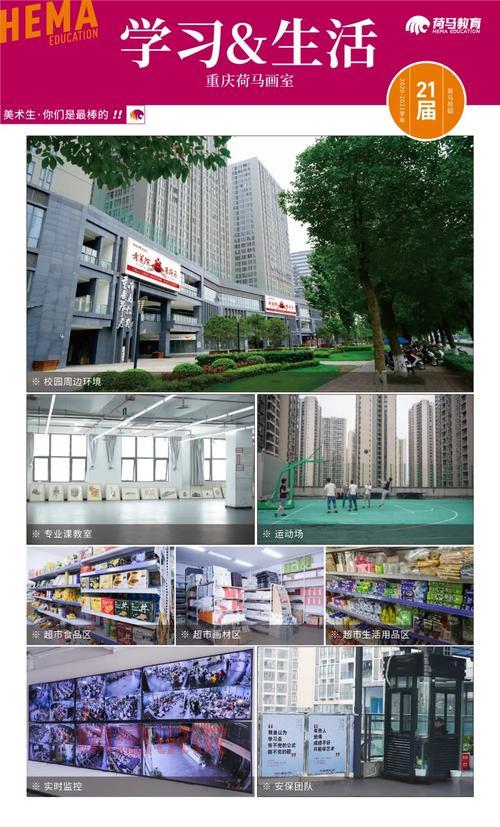 重庆河马教育培训机构有哪些课程？一篇文章全了解！