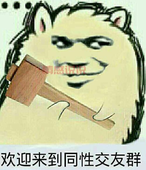 邯郸同性恋交友群号码分享，一起交流更快乐