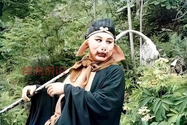 八戒八戒影视在线看片，高清大片免费追！