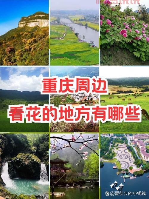 重庆两日游最佳攻略,带你玩转山城网红景点!