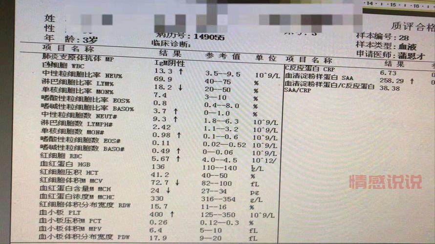 重庆同城运费到底多少钱?一分钟帮你快速估价!