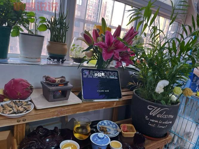 宅家无聊?隔离期间和妈妈玩这些,轻松打发时间还能增进感情!