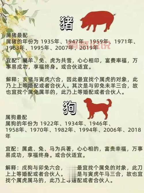属相婚姻配对查询方法，快速了解生肖配对！