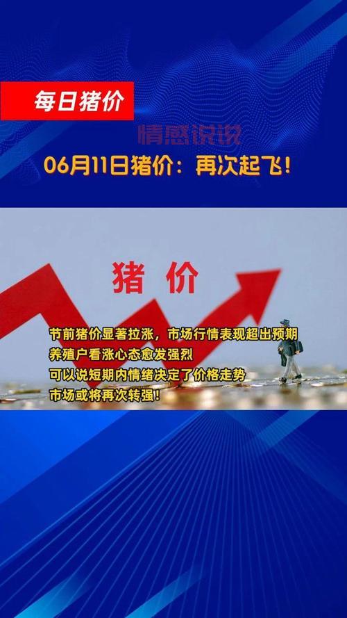 想知道固原今日猪价?这个信息一定要看!
