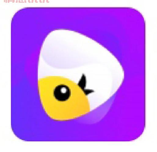 想找与外国人视频交流的软件?这几个值得收藏!