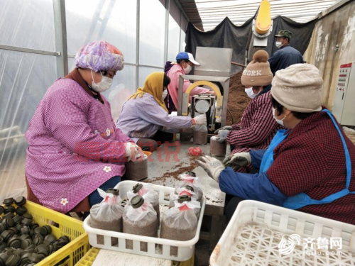 文登新闻视频回放哪里找？老乡都收藏这个网站！