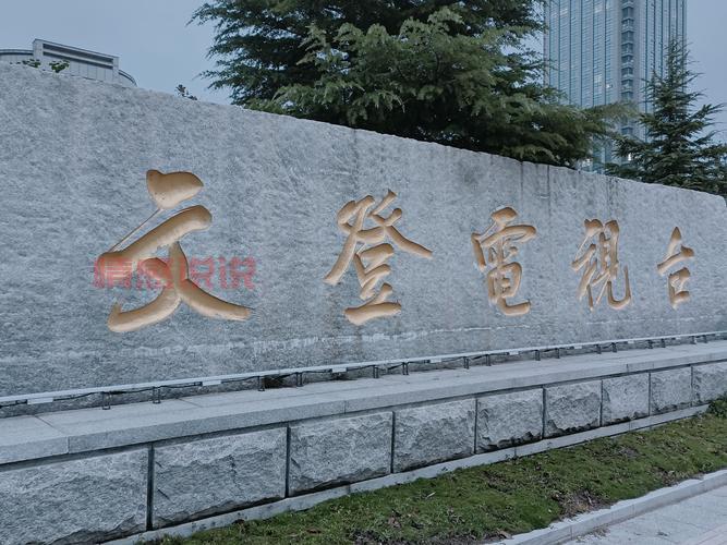 文登新闻视频回放哪里找？老乡都收藏这个网站！