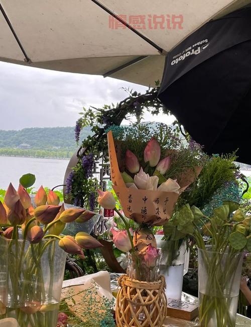 想找靠谱的杭州西湖区论坛?试试这几个!