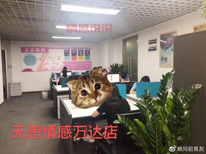 想找情感专家咨询靠谱吗？找对了平台最重要！