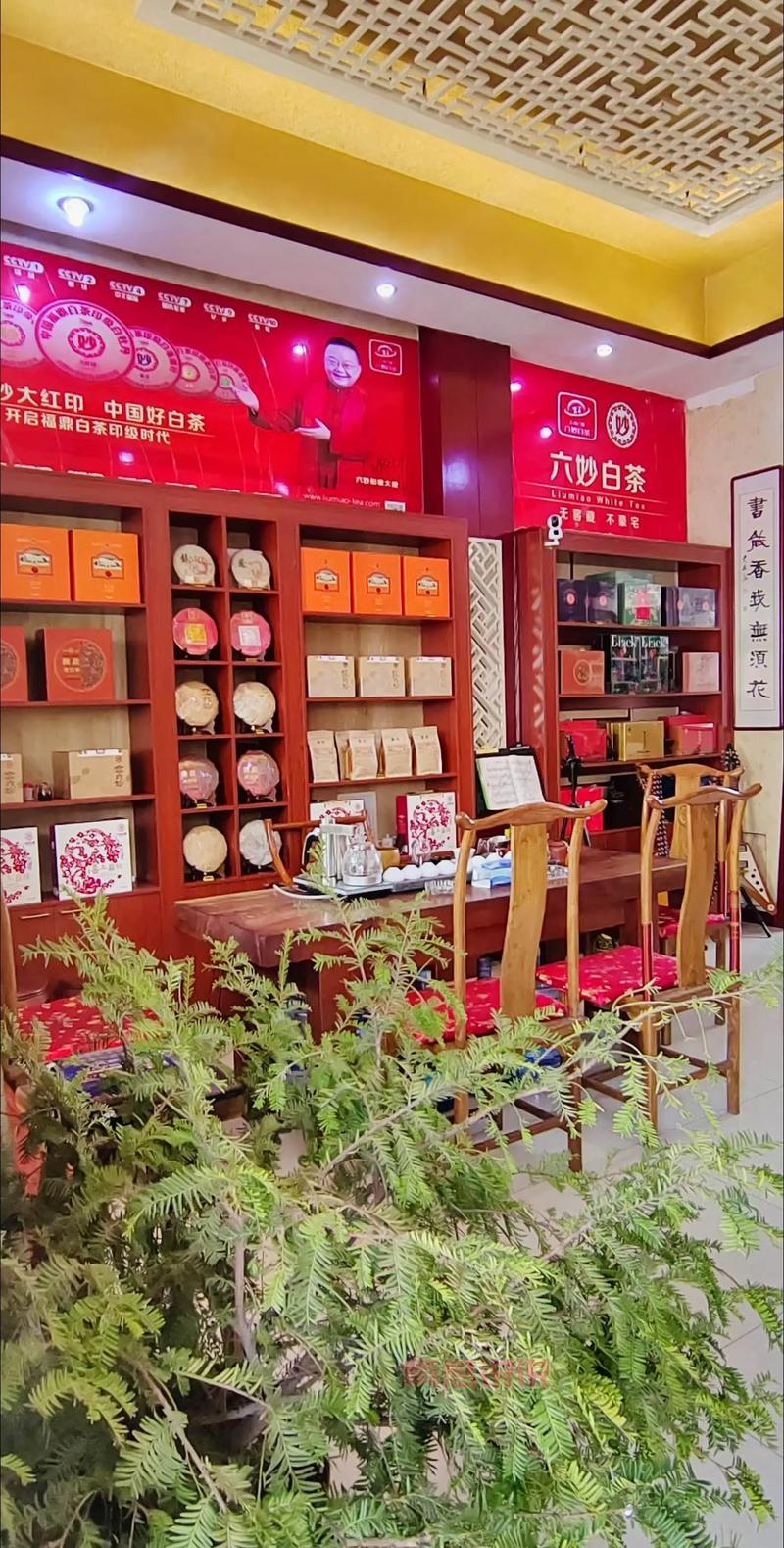 想去天津闻香阁怎么办？老顾客分享预约流程！