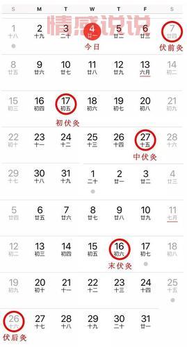 澳门刚刚最新消息今天是什么?速来了解详情!