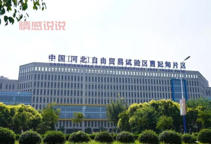 唐山曹妃甸发展投资集团有限公司是做什么的？