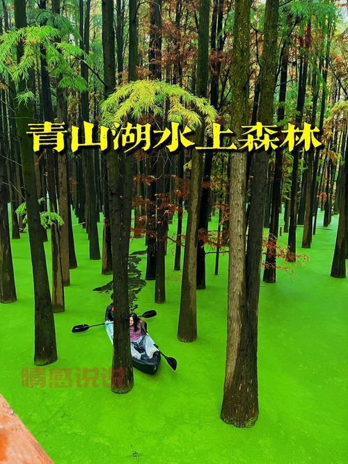 杭州青山湖在哪个区啊?游玩攻略来咯速看!