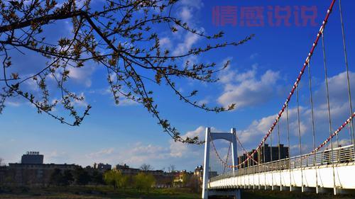 想进小城东港论坛首页?点这里一键直达!