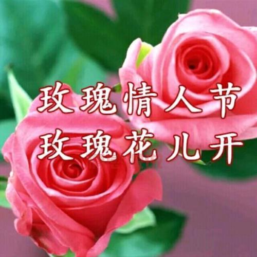 还在单身?玫瑰情人交友网试试,帮你找到TA!