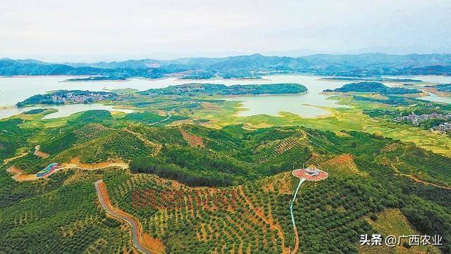 今天!百色右江区新闻最新消息头条都在这儿了!