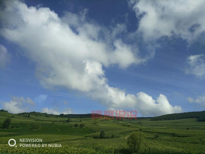 上海婚姻介绍所哪个最好？内行人告诉你怎么选！