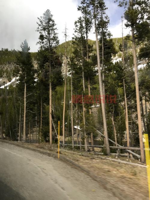 黄石吧百度贴吧怎么了？最近为啥这么热闹？