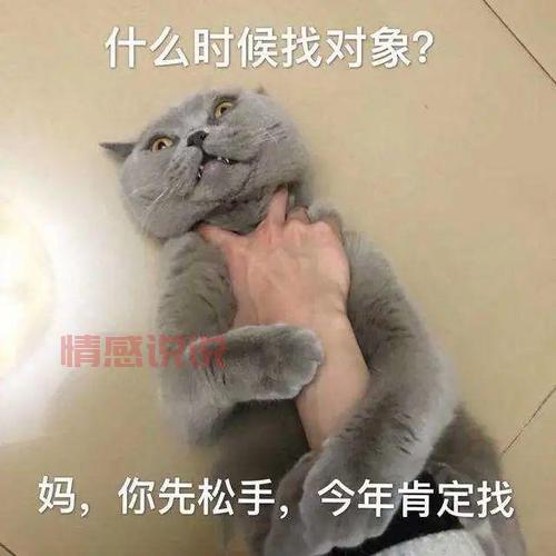 交友途径有哪些?教你几招找到靠谱的对象!