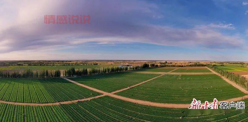 甘肃金昌为什么出美女？原来和这些因素有关系！