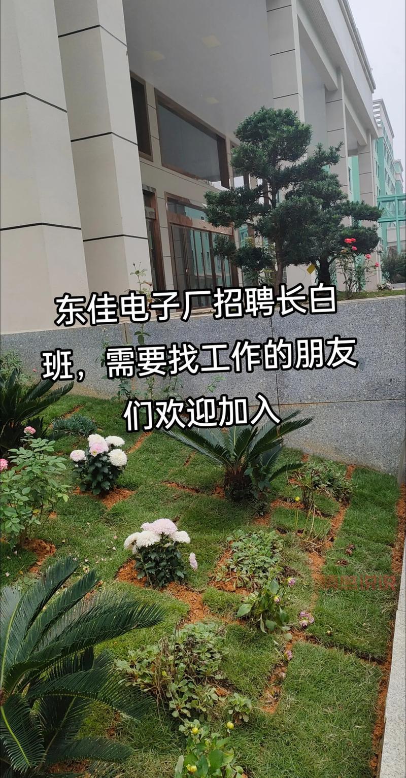 想找工作?长沙星沙今天最新招聘白班岗位推荐!