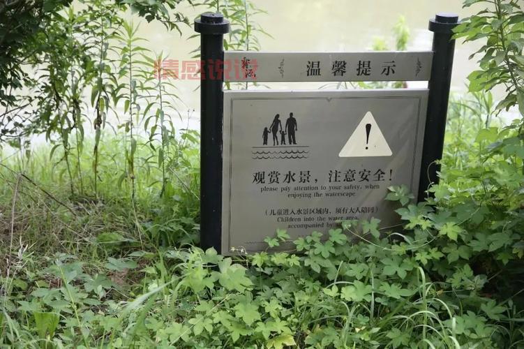 沈阳直播生活最新消息,你想知道的都在这里!