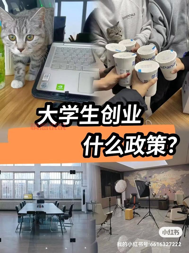 沈阳哪有大学生出来做的，真实靠谱的都在这了！