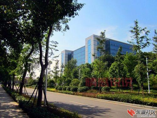 大冶论坛有什么用?本地生活信息都在这!