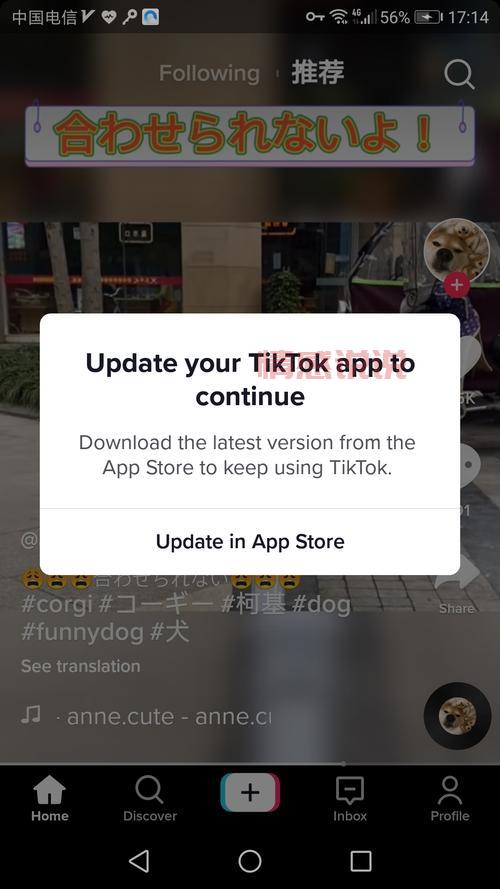 tiktok官网下载找不到入口?解决方法来了!