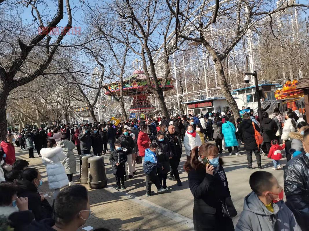 郑州人民公园蹦极票价大揭秘,看完再决定去不去!