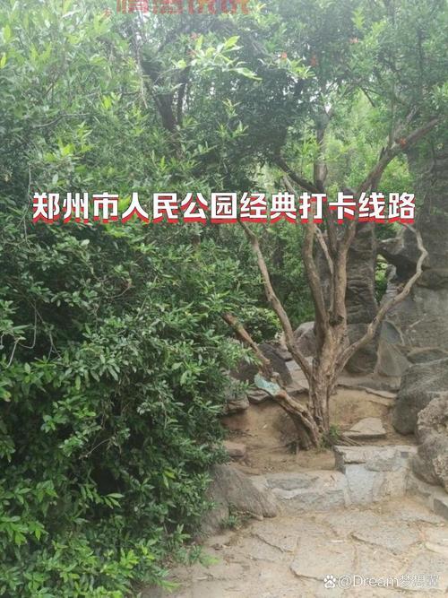 郑州人民公园游记分享,好看好玩的都在这!