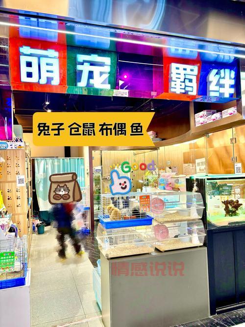 阿克苏哪里有卖仓鼠的？这几个地方宠物店比较全！