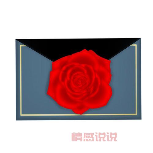 玫瑰情人网密码找回流程详解,一看就会!