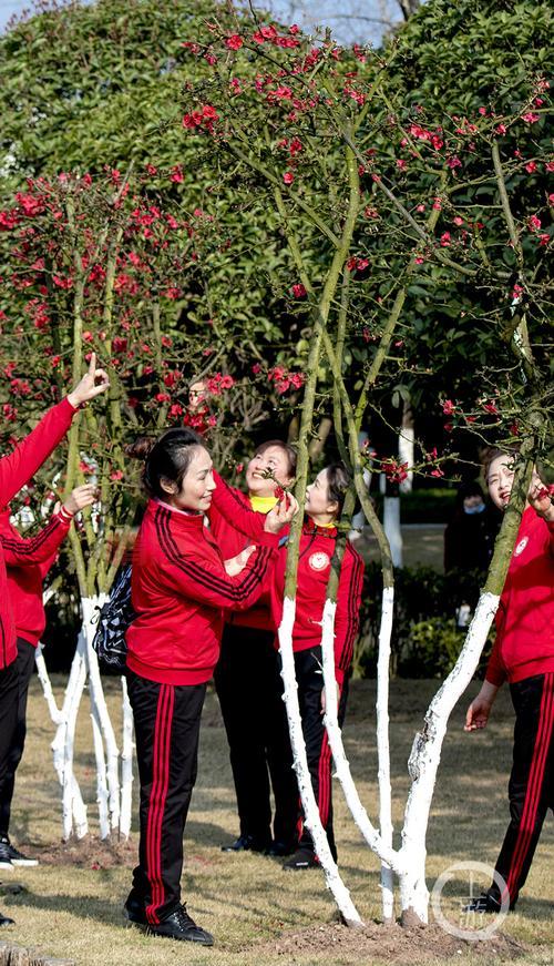 铜梁约会群是真的吗？亲身经历告诉你真相！