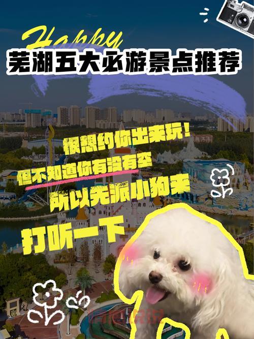 芜湖本地宝藏论坛：芜湖百姓论坛使用全攻略！