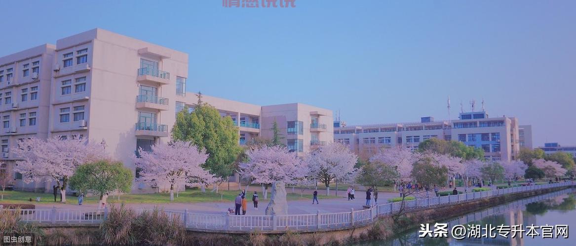 想进湖北经济学院约群？这几个方法帮你搞定！