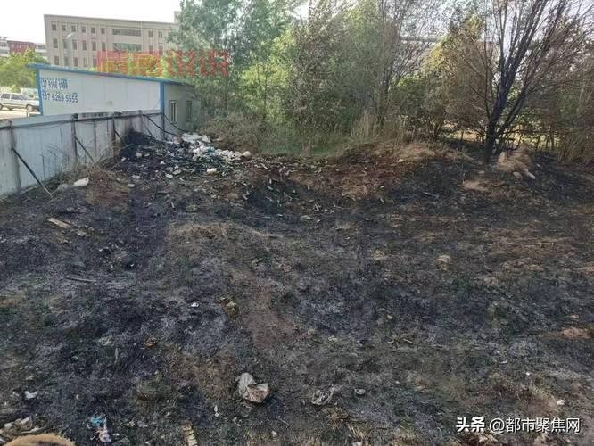 想看忻州头条新闻？这几个平台24小时更新！