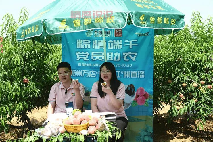 沈北大学城附近服务一条龙,省心又省力!