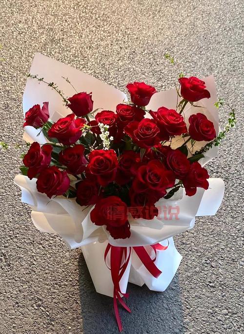 情人节玫瑰照片大图分享,氛围感直接拉满!