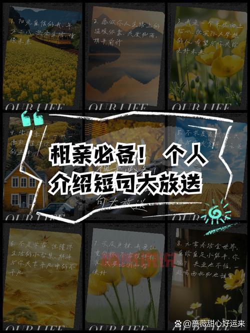 相亲免费的网站哪个好?过来人给你说说经验!