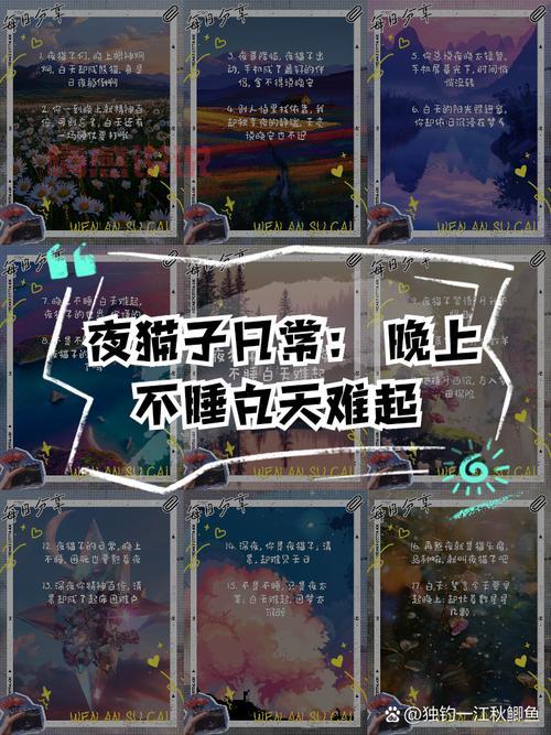 夜晚必下的100款软件推荐，夜猫子都在用啥？