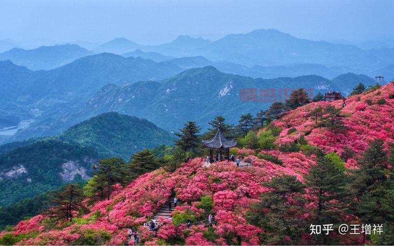 想了解麻城本地事?麻城信息网别错过!