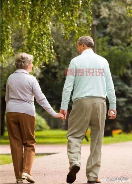 想找老伴?中老年婚恋网哪个更适合你?