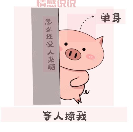 梅河口信息网怎么找对象？交友功能使用指南！