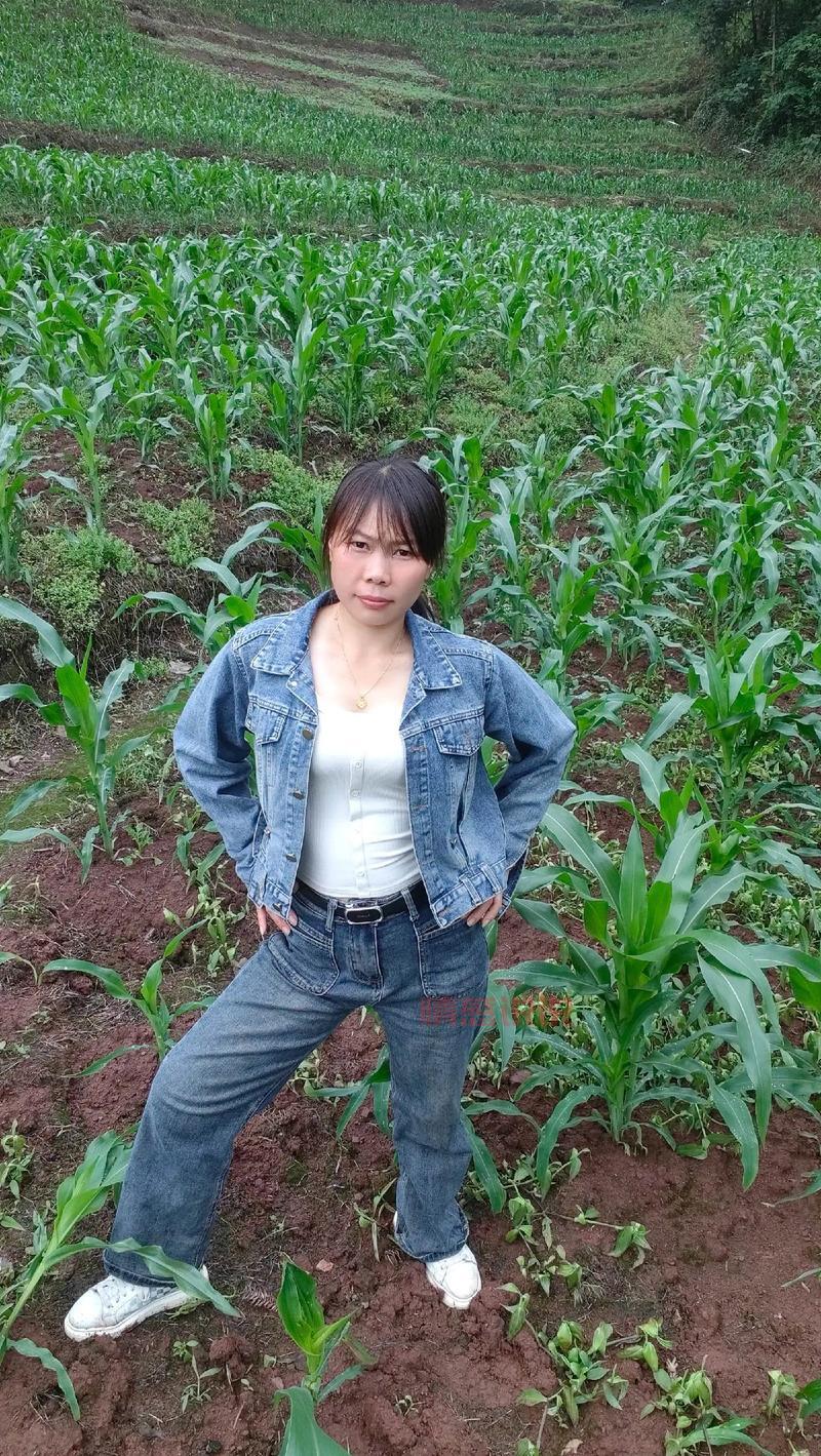 禄丰离异女人征婚信息,真实可靠看这里!