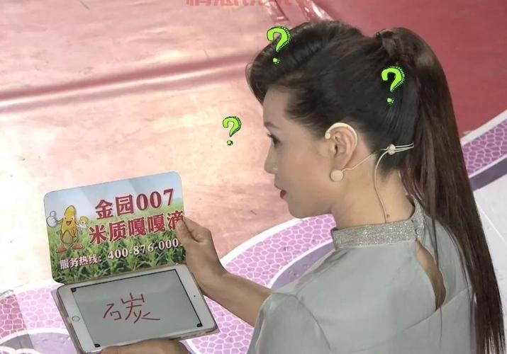 找全城热恋燕子?这有主持人燕子的完整资料!