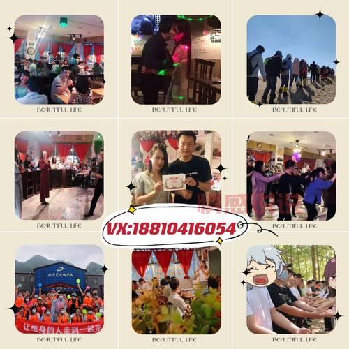 白领网上婚恋交友哪个好？单身人士看这里！