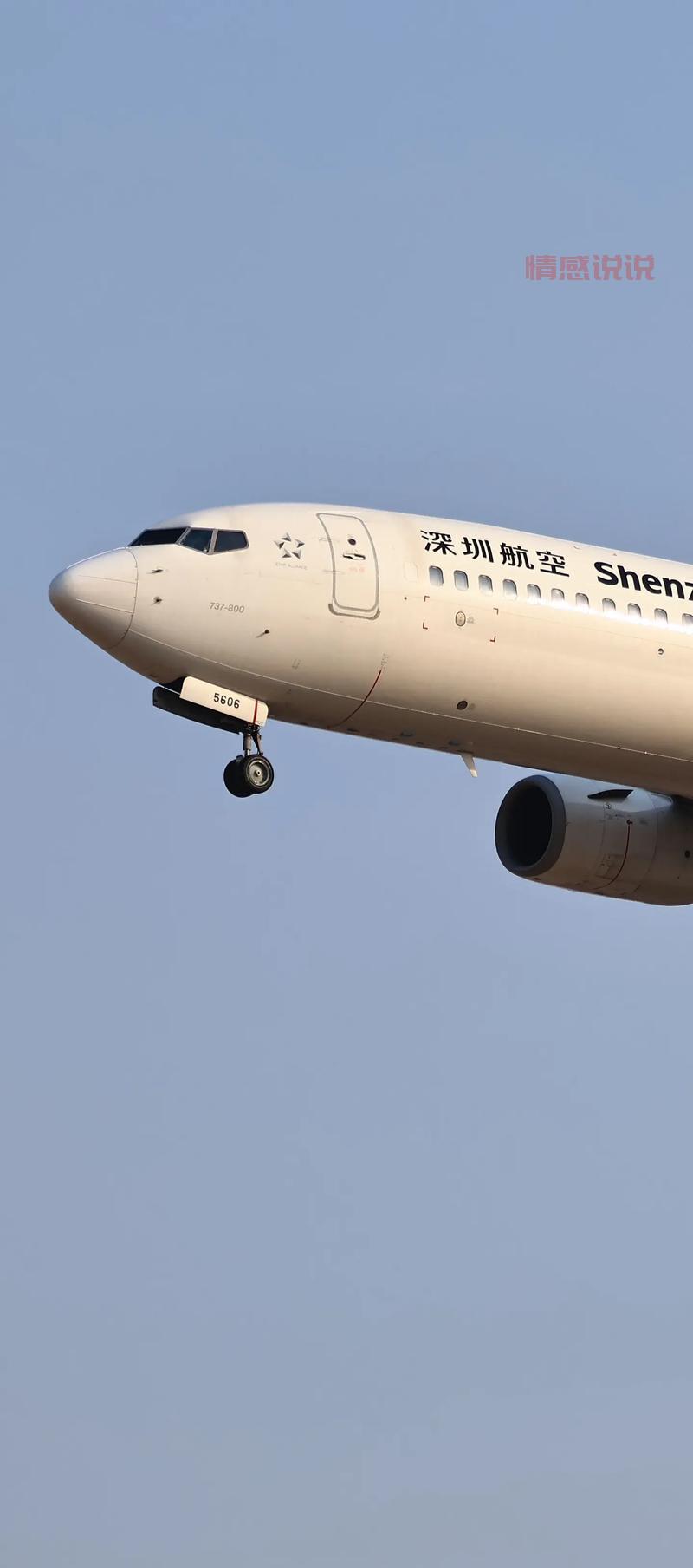 深圳飞机网论坛