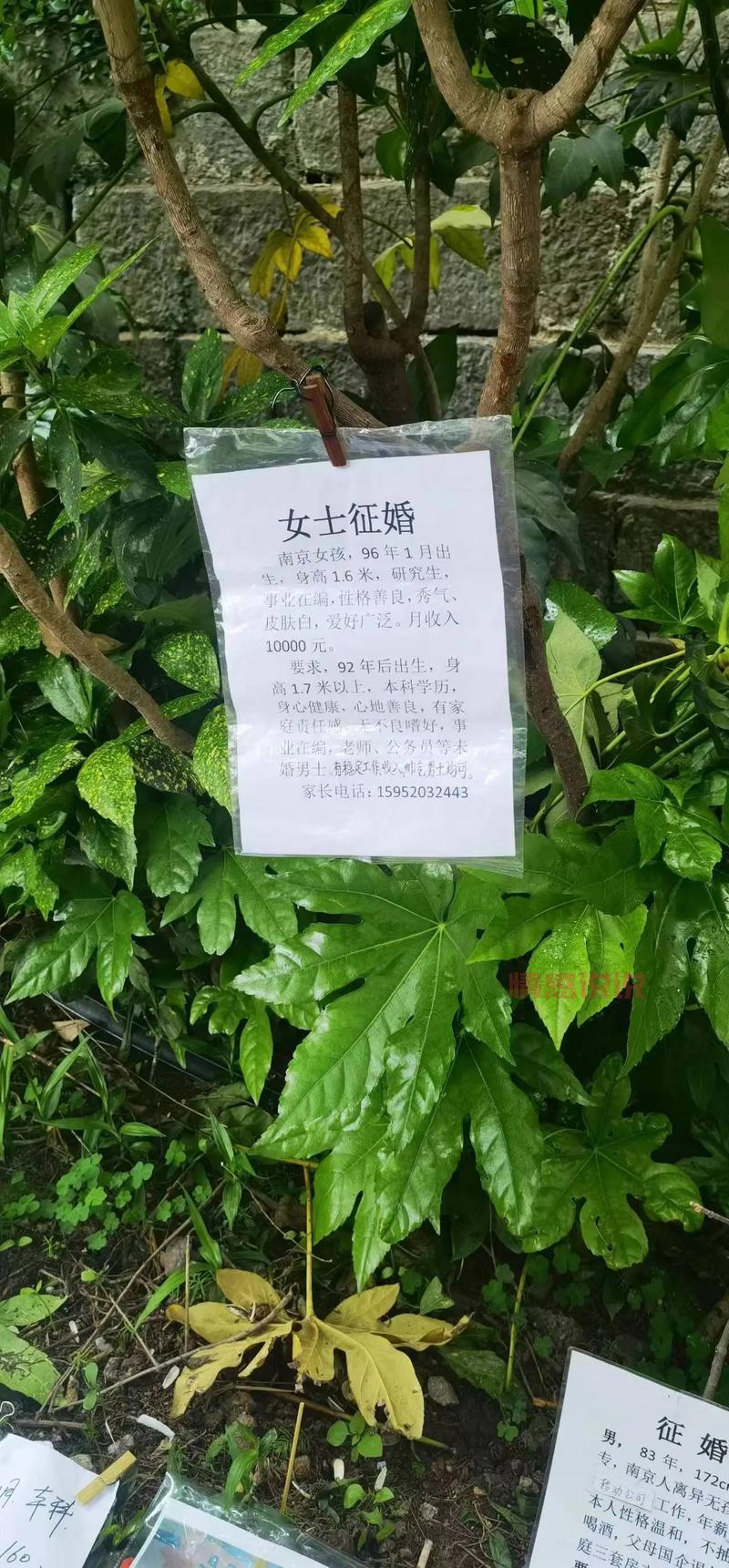 想在南京找对象?试试这些靠谱的南京市交友网站吧!