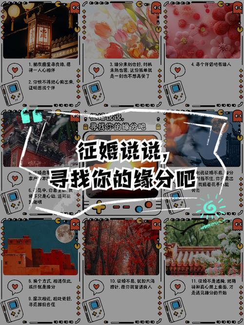 寻找二婚交友网站靠谱的经验分享，助你快速找到幸福！